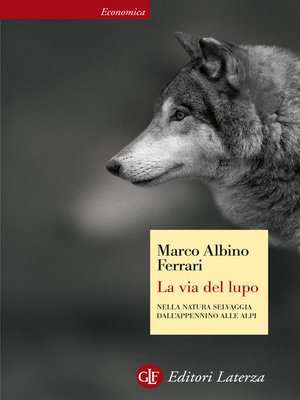 cover image of La via del lupo